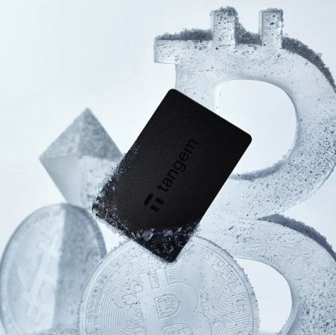 Portfel kryptowalutowy Tangem Wallet - 2 karty