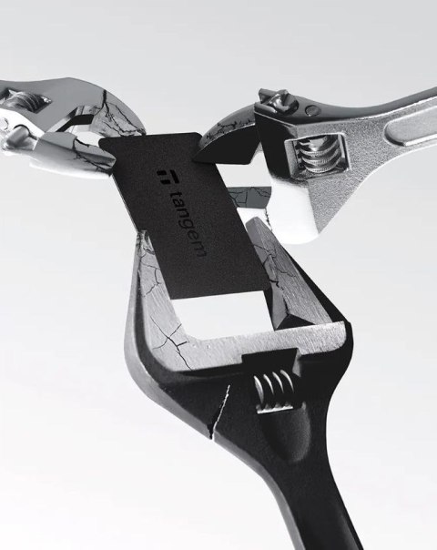 Portfel kryptowalutowy Tangem Wallet - 2 karty