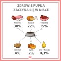 PUPIL PREMIUM Dziczyzna karma mokra dla psa 800g