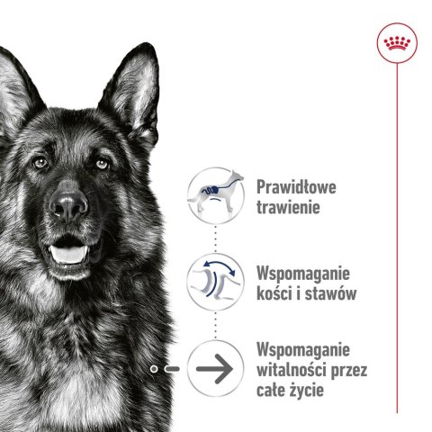 ROYAL CANIN SHN Maxi Ageing Loaf Can 410g